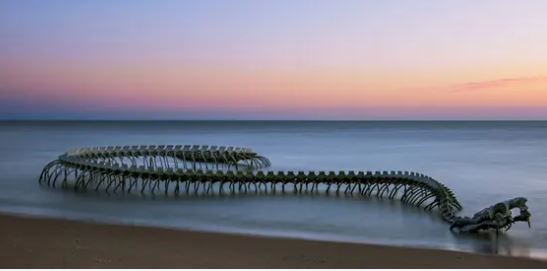 Mặc cho hình ảnh bộ xương quái vật khổng lồ trồi lên giữa mặt biển gây sợ hãi, du khách vẫn nườm nượp đến check-in