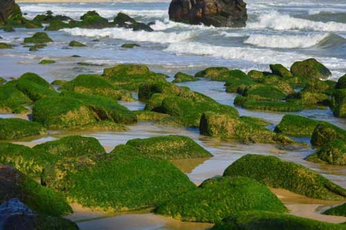 Đẹp ngỡ ngàng ghềnh đá Nam Ô