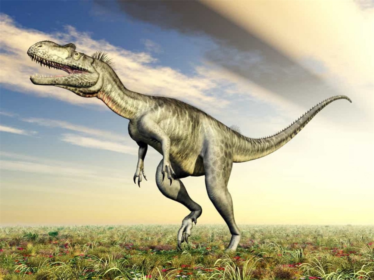 Theo các nhà khảo cổ, một con khủng long kích thước lớn có thể sống tối thiếu là 75 năm và tối đa lên đến 300 năm.
