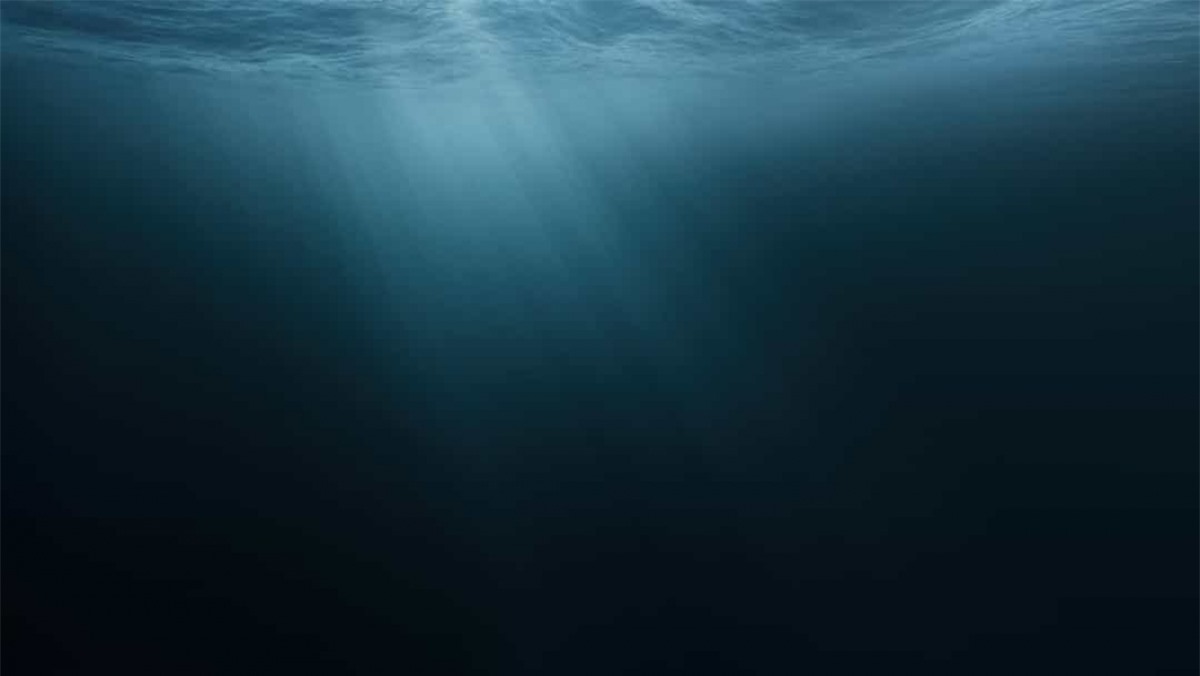 Hầu hết hành tinh của chúng ta nằm trong bóng tối: Do các đại dương có độ sâu trung bình là gần 3.700 mét nhưng sóng ánh sáng chỉ xuyên qua được 91 mét nước nên mọi thứ dưới độ sâu này đều là bóng tối.