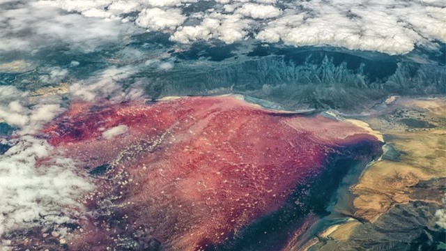 Hồ nước đỏ ở Tanzania này sở hữu siêu năng lực biến hầu hết các sinh vật thành đá - Ảnh 5.