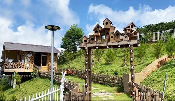 Buộc tháo dỡ nhà trái phép tại khu đất Ngọc Trinh "khoe" mua trên TP Bảo Lộc