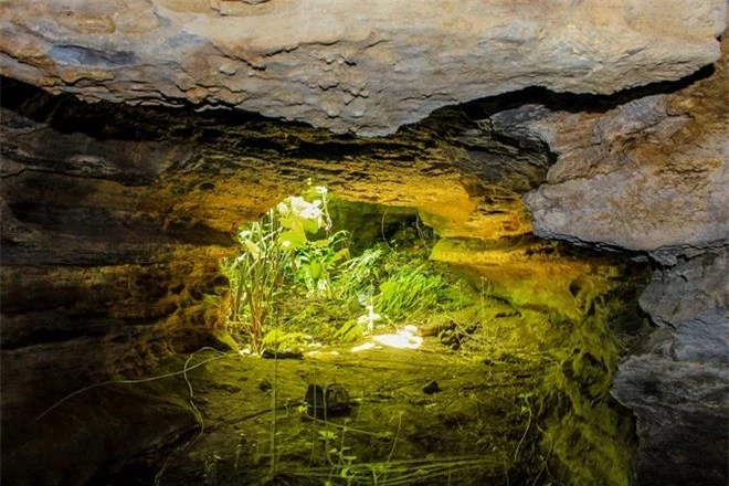 Lạc vào ‘kỷ Jura’ đậm chất phiêu lưu ở hang động Quảng Nam ít người đặt chân đến - 2