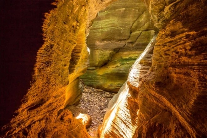 Lạc vào ‘kỷ Jura’ đậm chất phiêu lưu ở hang động Quảng Nam ít người đặt chân đến - 5