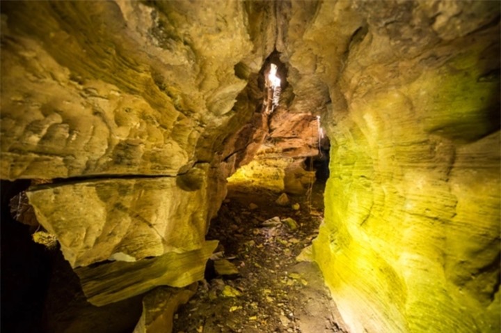 Lạc vào ‘kỷ Jura’ đậm chất phiêu lưu ở hang động Quảng Nam ít người đặt chân đến - 7