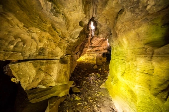 Lạc vào ‘kỷ Jura’ đậm chất phiêu lưu ở hang động Quảng Nam ít người đặt chân đến - 7