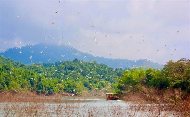 Vẻ nguyên sơ tại khu rừng Việt Nam đầu tiên tìm thấy ‘kỳ lân châu Á’ - sao la - 13