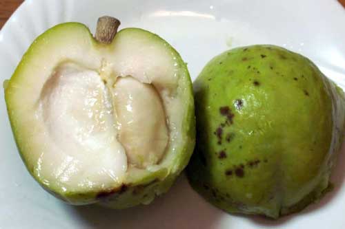 Loại trái cây độc đáo có vị béo ngọt như bánh kem, giá vài trăm nghìn đồng/quả