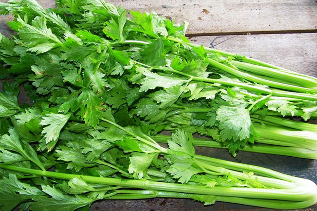 Vóc dáng hoàn hảo chỉ với 5 loại thảo mộc dễ kiếm