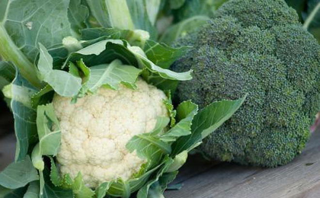 Thực phẩm đơn giản nhưng giúp người Việt chống ung thư