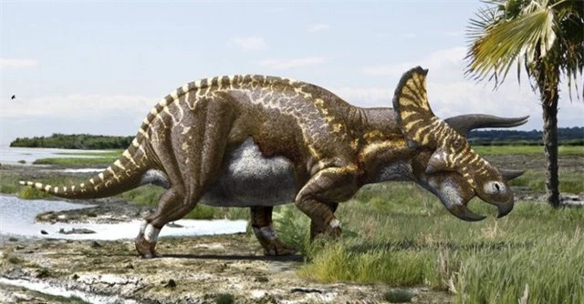 Các manh mối hóa học tiết lộ tốc độ trao đổi chất của các loài khủng long: Tyrannosaurus rex máu nóng, Stegosaurus máu lạnh! - Ảnh 3.