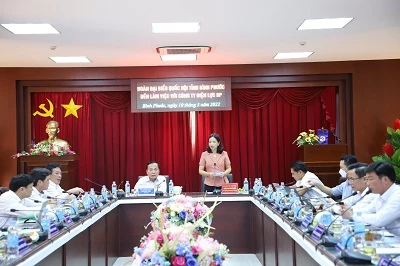 Điện lực Bình Phước báo cáo với ĐĐBQH tỉnh.