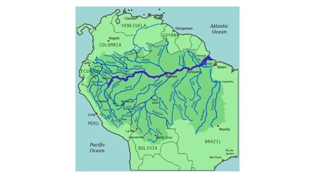Tại sao không có cây cầu nào bắc qua sông Amazon? - Ảnh 1.