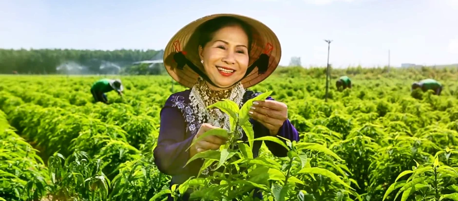 Bà Võ Thị Lấn - nhà sáng lập thương hiệu Trà Tâm Lan - khởi nghiệp ở độ tuổi 60