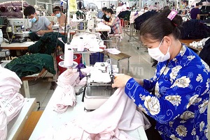 Chưa đạt mục tiêu đề ra về số doanh nghiệp do nữ làm chủ