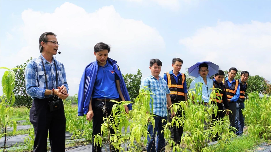 Ông Nguyễn Thế Tân hướng dẫn quy trình chăm sóc cây hoàn ngọc theo hướng nông nghiệp sạch tại một vườn nguyên liệu 