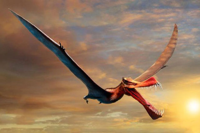 Phát hiện ra loài ‘Rồng thần chết’ từng sống ở Argentina