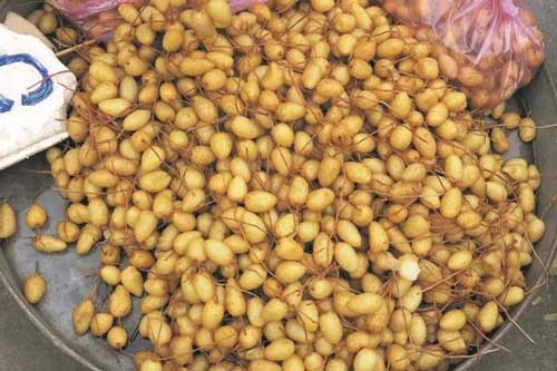 Loại củ giải nhiệt có cái tên lạ đời, được người Sài Gòn săn tìm vào mùa nóng