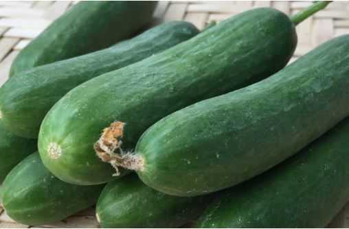 Những điều bạn phải biết trước khi ăn dưa chuột