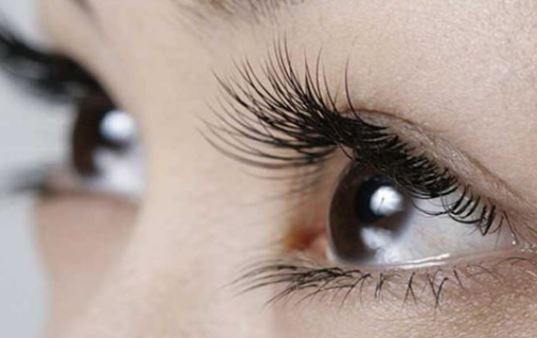 Lông mi dài cong vút mà không tốn kém