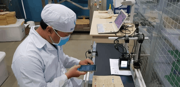 Kỳ tích khởi nghiệp tại Bến Tre: Ứng dụng khoa học phát triển dược liệu quý mọc trên nền cát trắng