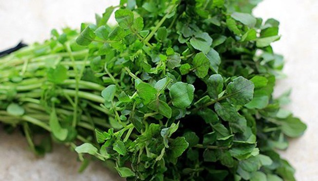 Những thực phẩm giúp phụ nữ tươi trẻ mỗi ngày