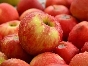 Thời điểm nào trong ngày ăn táo là tốt nhất?