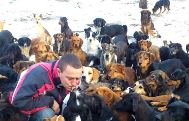 Người đàn ông cưu mang hơn 1000 chú chó, lý do khiến ai nghe cũng cảm phục