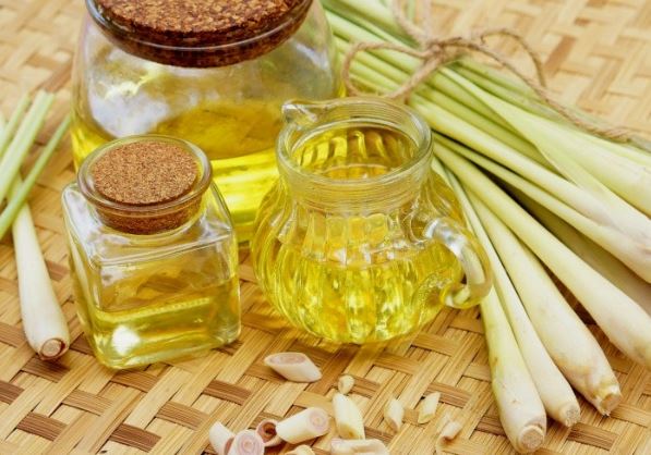 5 loại tinh dầu khiến muỗi sợ chạy xa