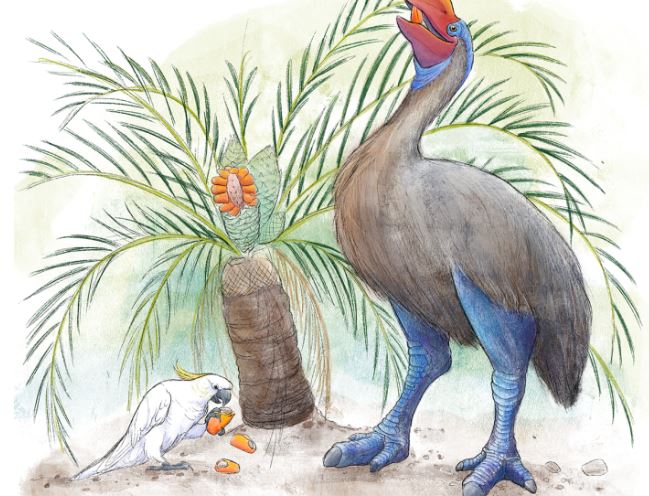 Chim sấm khổng lồ tuyệt chủng vì bị con người ăn trứng