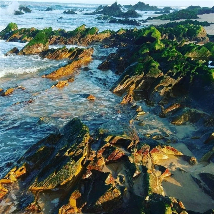 Ngắm ‘mê cung’ đá sừng sững vươn ra đại dương ở bãi biển độc nhất Quảng Bình - 3