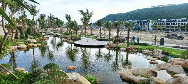 Bể lọc Wetland rộng 150m2 của hồ Koi Bể lọc Wetland rộng 150m2 của hồ Koi MERRYLAND