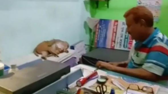 Phòng khám tư nhân đón vị khách đặc biệt khiến bác sĩ hốt hoảng nhưng vẫn tận tình cứu chữa