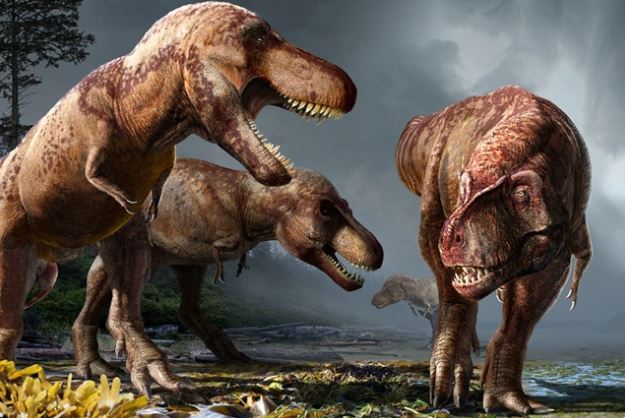 Tại sao khủng long bạo chúa có đôi tay bé đến kỳ dị? Khoa học đưa ra câu trả lời không ai đoán được