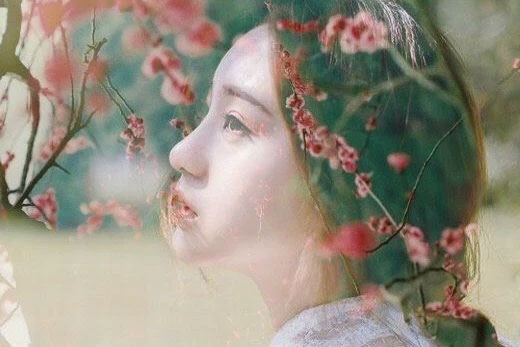 Ly hôn đã 10 năm, tôi bất ngờ khi chị chồng cũ đến thăm, đem theo 3 tỷ cùng một bí mật đắng chát