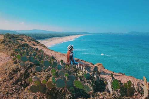 ‘Khu vườn’ xương rồng hướng thẳng ra biển - Điểm check-in cho mùa hè thơ mộng