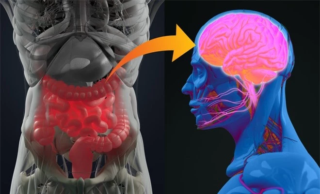 8 bộ phận cơ thể ẩn giấu nhiều điều thú vị mà đến chính bản thân bạn cũng không hề biết - Ảnh 5.