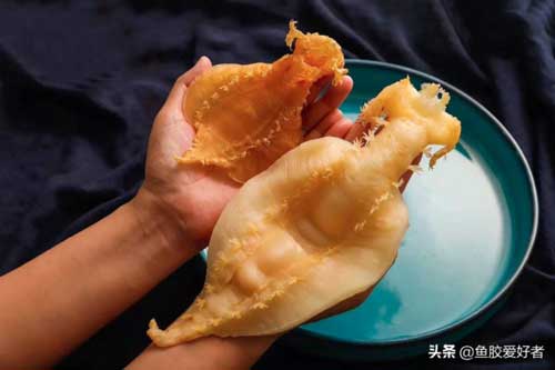 Bộ phận này của con cá được giới quý tộc cổ đại săn lùng như kim cương