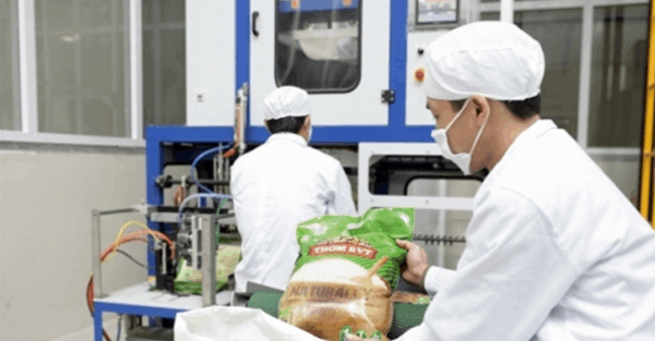 “Đầu tàu” của nông nghiệp Việt Nam