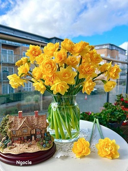 Tử vi ngày 15/6/2022 của 12 cung hoàng đạo