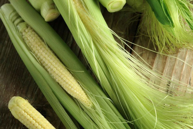 Lợi ích tuyệt vời của râu ngô đối với sức khoẻ bạn nên biết