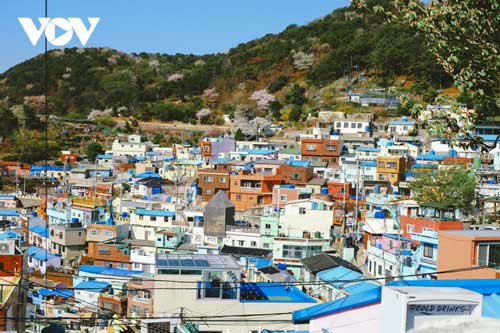 Lạc bước giữa ngôi làng sắc màu Gamcheon, Hàn Quốc