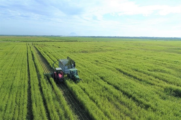 Mạch nước ngầm tại Trang trại Vinamilk Green Farm chính là yếu tố chính góp phần kiến tạo nên những hồ điều hòa sinh thái mang lại không khí mát mẻ, trong lành cho những cô bò.