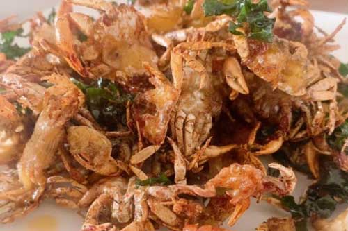 Nữ hoạ sĩ xinh đẹp gợi ý "cả seri" 7 món ngon dễ làm cho một tuần bận rộn