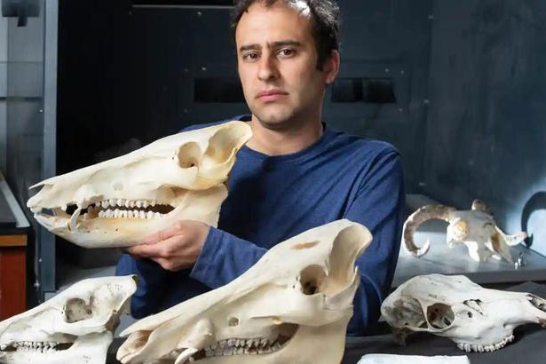 Loài người đang bị teo nhỏ vì nguyên nhân đáng sợ?