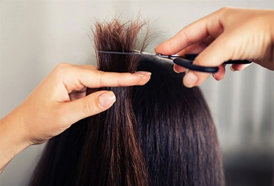 8 quan niệm sai lầm về chăm sóc tóc