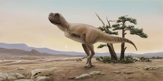Phát hiện loài khủng long mặt chó bull, tựa như phiên bản &quot;nâng cấp&quot; của khủng long bạo chúa - Ảnh 2.