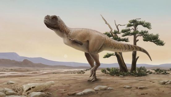 Phát hiện loài khủng long mặt chó bull, tựa như phiên bản "nâng cấp" của khủng long bạo chúa