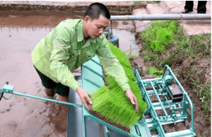 "Cha đẻ" của máy cấy không động cơ