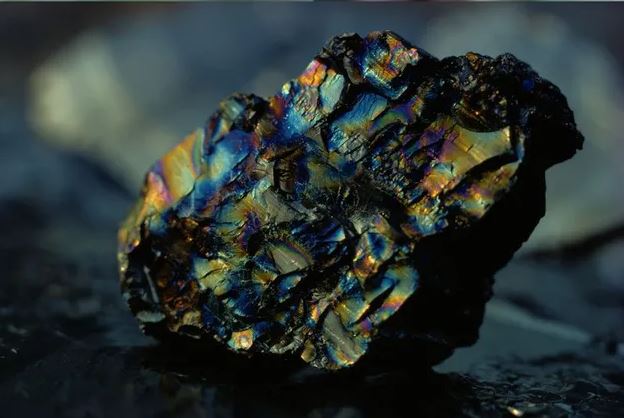 Bằng cách nào rừng cổ đại hóa thành than, cấp nhiên liệu cho xã hội hiện đại?